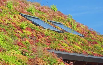 Thorgill living roof systems