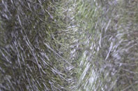 Thorgill fibreglass roof work